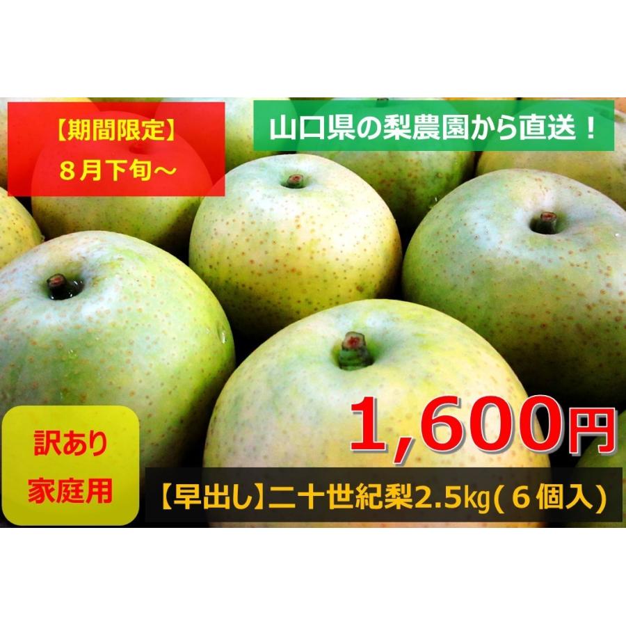 二十世紀梨 家庭用 2 5kg 早出し 山口県産 梨農園から直送 訳あり 自家用 0031 ふるた梨ぶどう園ヤフー店 通販 Yahoo ショッピング