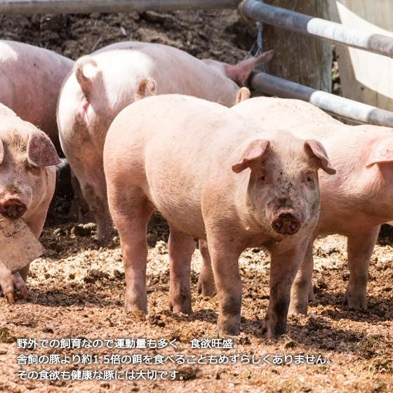 里の放牧豚　Bセット |  | 03