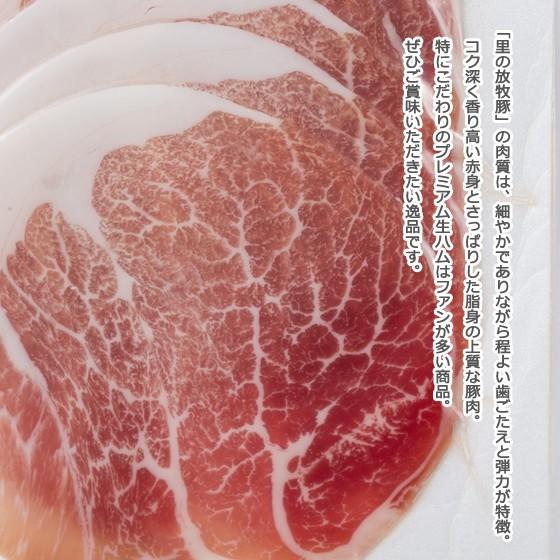 里の放牧豚　Bセット |  | 05