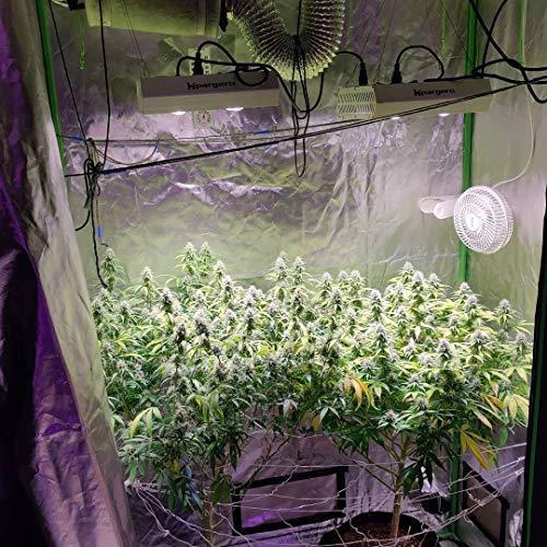 Hipargero HG800 LED植物育成ライト UVとIRを含むフルスペクトル植物