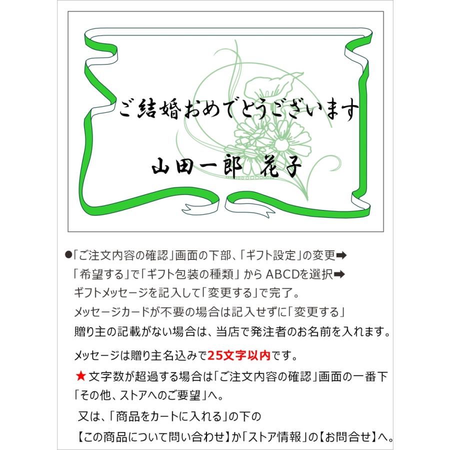 猫 Y ネコ ねこ 観葉植物 フェイクグリーン 人工 インテリア おしゃれ 造花 絵画 壁掛け 誕生日 結婚 動物病院 プレゼント ギフト お祝い Neko Yoko 2ap ヒューズカンパニー 通販 Yahoo ショッピング