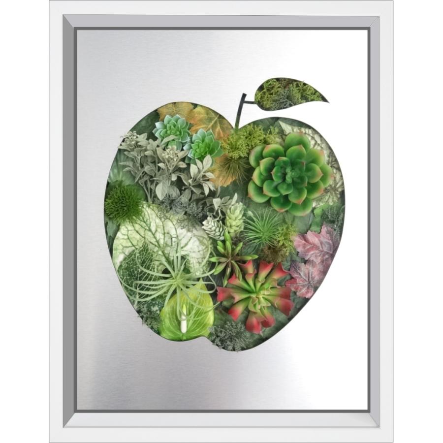 青 りんご リンゴ 観葉植物 フェイクグリーン 人工 造花 壁掛け インテリア 多肉 アートパネル おしゃれ 絵画 プレゼント 新築 開店 結婚 誕生 Ringo ヒューズカンパニー 通販 Yahoo ショッピング