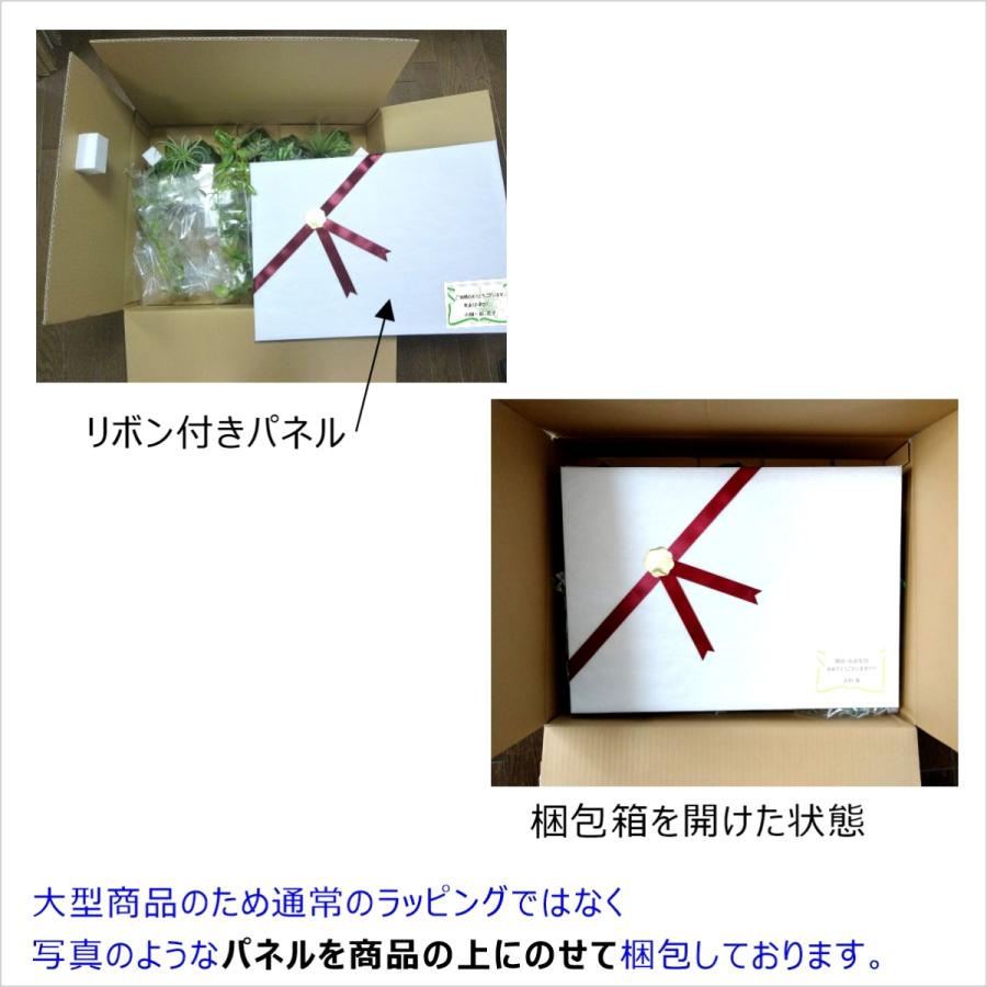 ssb 観葉植物 種類 おしゃれ 室内 人工観葉植物 フェイクグリーン 壁掛け 造花 インテリア 絵画 プレゼント ギフト |  | 13