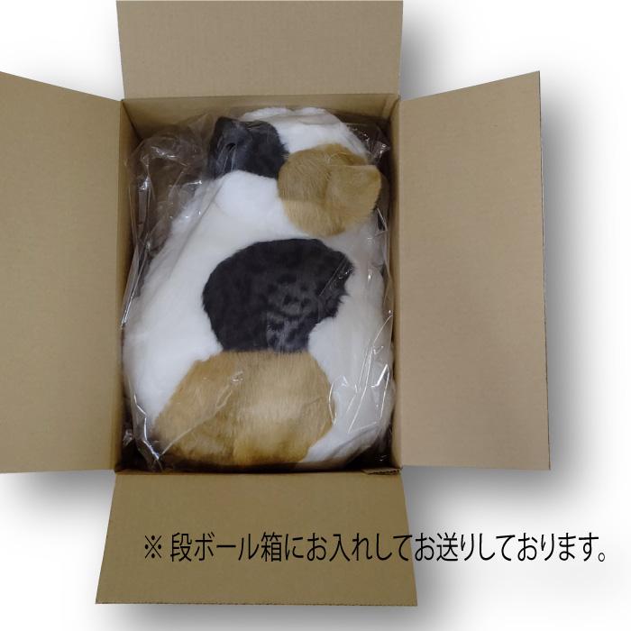 Cuddly マリア りらっくす Maria Relax ぬいぐるみ マリア りらっくす Maria Relax 猫のぬいぐるみ 三毛猫 – Cuddly