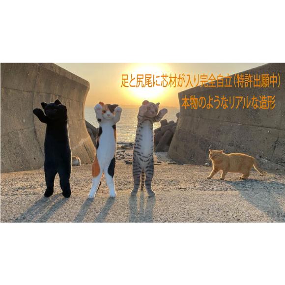たっちぃZOO にゃんこ 三毛猫 ぬいぐるみ（ねこ ネコ プレゼント
