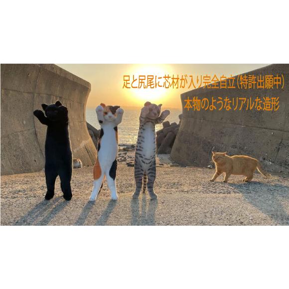 たっちぃZOO にゃんこ キジトラ ぬいぐるみ（ねこ ネコ プレゼント ギフト 贈り物 母の日 誕生日 新生活 就職 進級 進学 お祝い）｜fuseya｜04