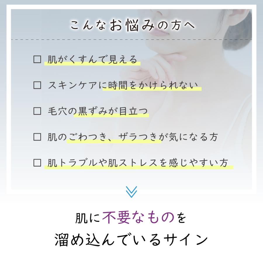 ソーダスパフォームプレミアム10000　母の日 ギフト 炭酸コスメ 炭酸パック 東洋炭酸研究所｜fushimidp｜02