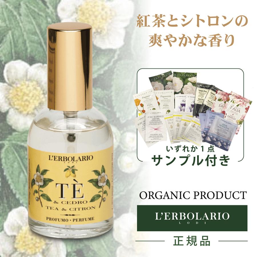 ロマンチックバレエ　タリオーニ　エルスラーとチェリート ロマンチックバレエ タリオーニ エルスラーとチェリート