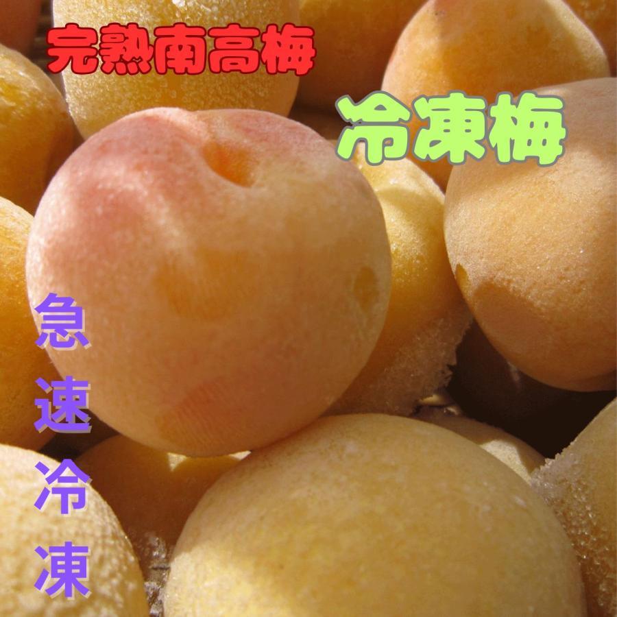 自然栽培梅 完熟梅 5kg 富山県産 手もぎ 有機栽培（無農薬）の完熟梅