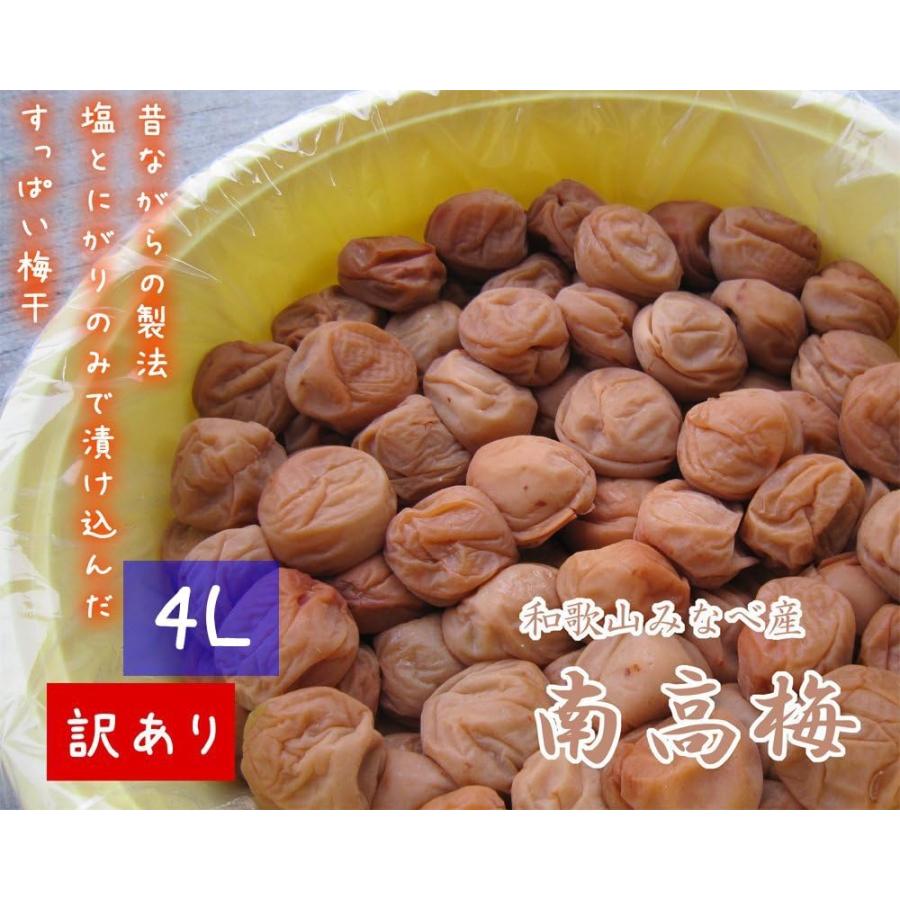 梅干し 南高梅 紀州健康梅 たる梅【訳あり】 [ちょい切れ つぶれ 梅干し 南高梅 紀州健康梅 たる梅【訳あり】 [ちょい切れ つぶれ