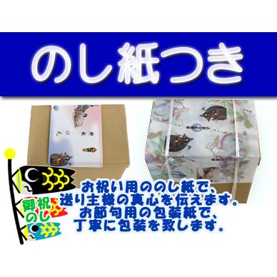 着用兜】【コンパクト収納兜】【武将】25号武田信玄公会津塗兜 着用兜】【コンパクト収納兜】【武将】25号武田信玄公会津塗兜