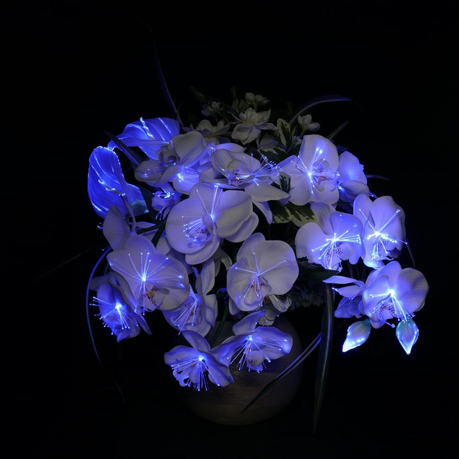 蓮華灯 ルミナスアレンジ胡蝶蘭 DX光触媒 ルミナス 色