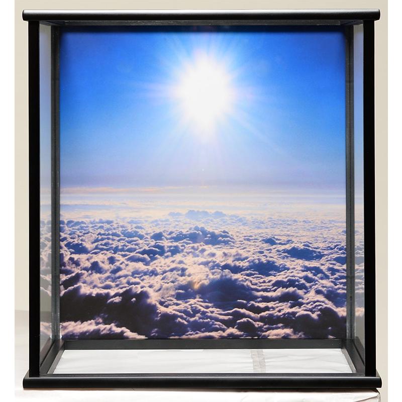 五月人形】【ご進物ケース】6号若翔 鯉のぼり :嘉房作【武者人形