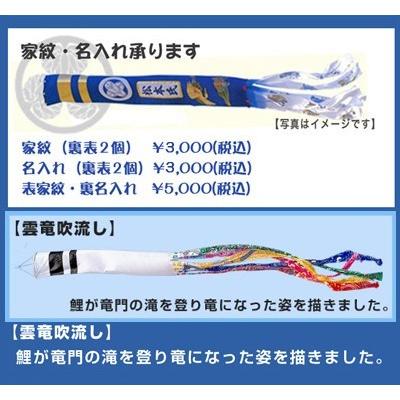 6ｍ黄金金箔鯉のぼり雲竜吹流し8点セット【家紋・名入対応】_2
