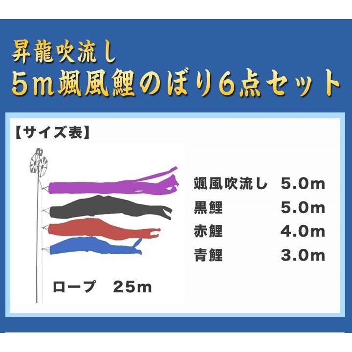 5m宝碧鯉のぼり 昇龍吹流6点セット_1