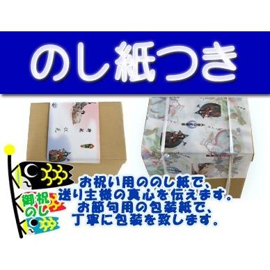 4ｍ黄金金箔鯉のぼりポールスタンド付セット【どこでもガーデンセット】_3