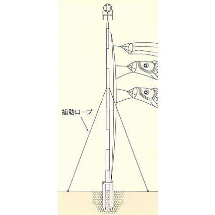 専用ポール各種 鯉のぼり用ポール:10号Wパイルポール(2本 専用ポール各種 鯉のぼり用ポール:10号Wパイルポール(2本