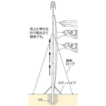 専用ポール各種 6m鯉のぼり用ポール：12号スカイポール（三脚付11.3