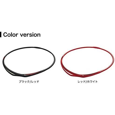 phiten(ファイテン)ネックレス ブラック 43cm ファイテン（PHITEN）（メンズ、レディース）RAKUWA ネックレス