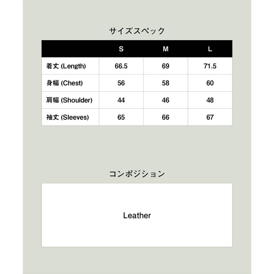 Signature Leather Down Jacket / シグネチャーレザーダウンジャケット　glamb グラムの画像