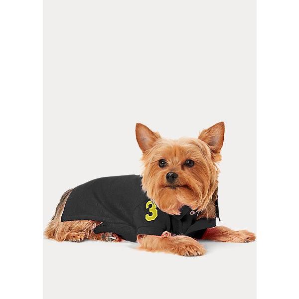 おしゃれ人気 ポロ ラルフローレン ラルフ Polo ペット服 犬服 犬の服 ペットウェア ロゴ ポロ セーター ニット ポロベア くま ネイビー おしゃれ Ralph Lauren 取り寄せ 期間限定特価 Nepalbreweries Com