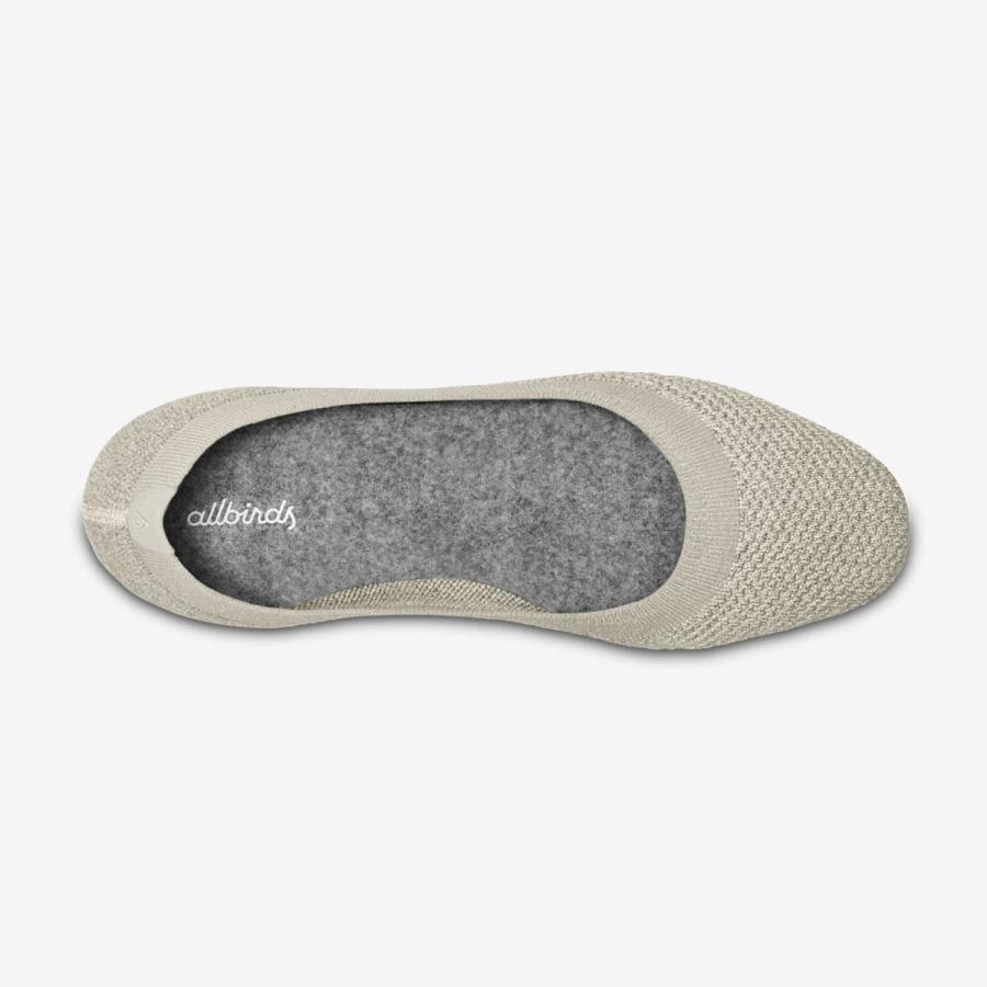 Allbirds オールバーズ☆フラットシューズ レディース フラット