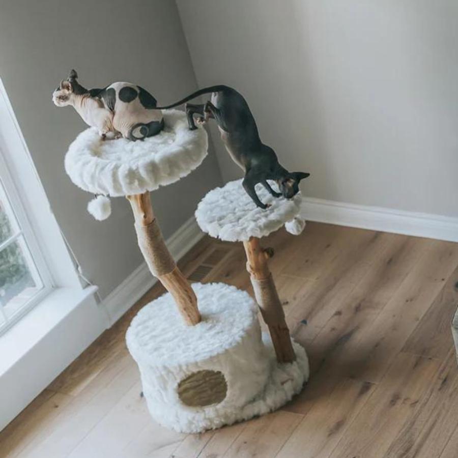 ペット 猫 キャットタワー キャットツリー キャットハウス ペット 猫 キャットタワー キャットツリー キャットハウス