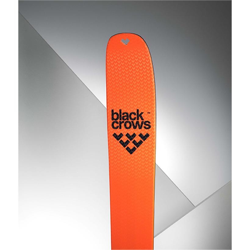 BLACK CROWS ブラッククロウズ スキー板 draco freebird 板単品 25-26