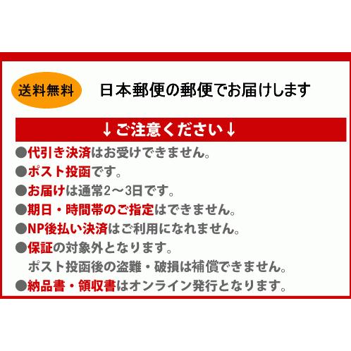 金玉満堂符 ネックストラップタイプ B 01 風水ドラゴン クラフト 通販 Yahoo ショッピング