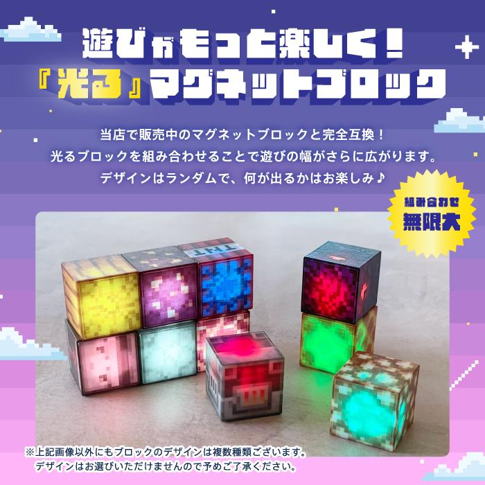 最安値に挑戦【光る！マグネットブロック 10個ランダムセット】[新品