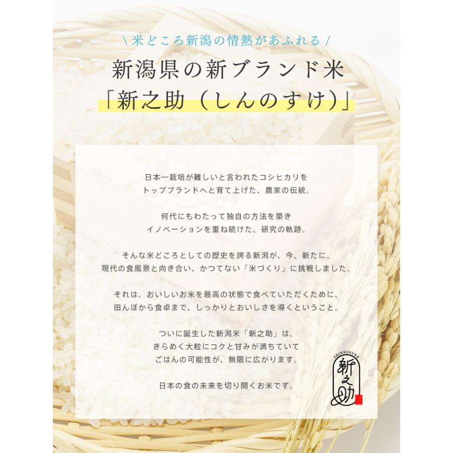 ポイント10倍】新之助OKOME no COSME ナノバブル化粧水 100ml / お米