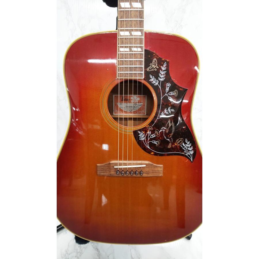 FERNANDES（フェルナンデス） Burny ハミングバードモデル BH-70 百瀬