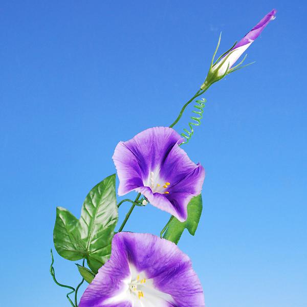 シルクフラワー 朝顔 あさがお 夏の装飾 領収書発行 Asagao フタバ装飾 通販 Yahoo ショッピング