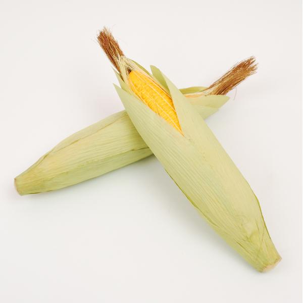 アートフード とうもろこし 店内装飾用野菜 領収書発行 Corn フタバ装飾 通販 Yahoo ショッピング
