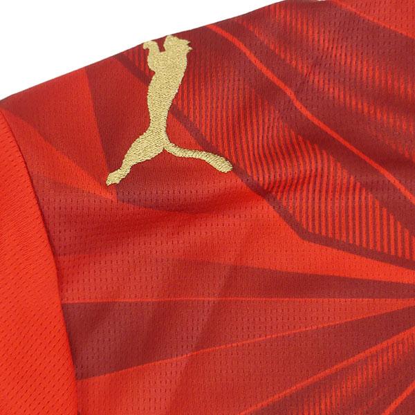 新品 希少品 サッカー エジプト代表 ジャージ上下セット 総柄 PUMA XL PUMA（プーマ） エジプト代表 2026 ホームジャージ 半袖 783552-01
