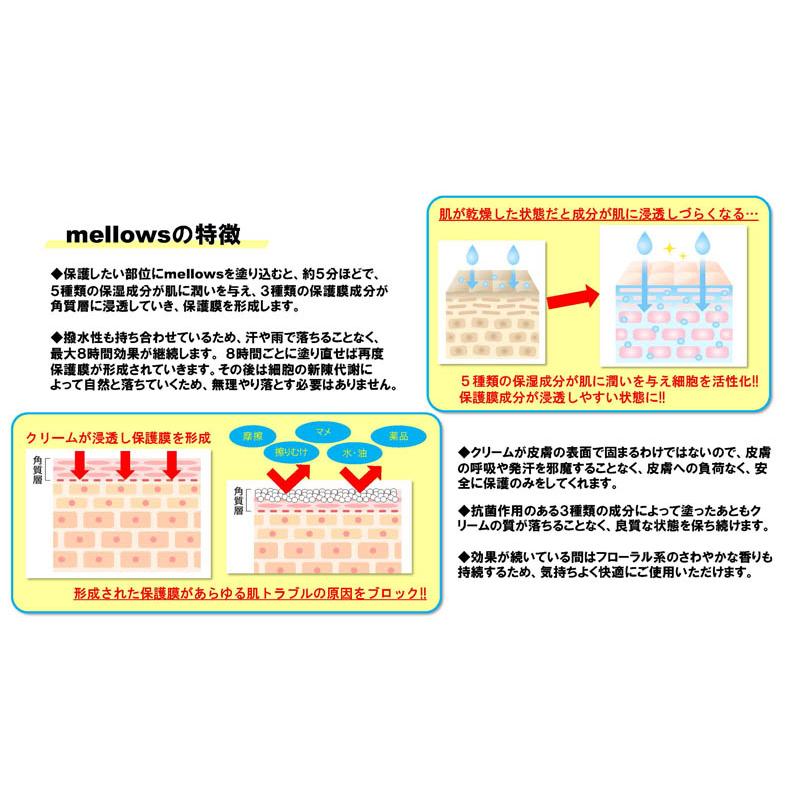スポーツ 皮膚保護クリーム mellows EC-A075 アールズコート Earls Court サッカー マラソン スポーツ ランニング 靴擦れ 乳首ずれ マメ防止 | アールズコート | 04