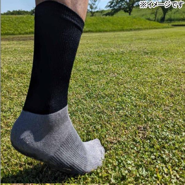 アールズコート（Earls Court） 【ネコポス送料無料】 グリップ