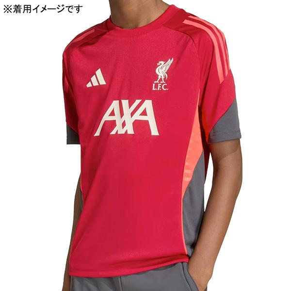 adidas（アディダス） リバプール ジュニア LFC トレーニング