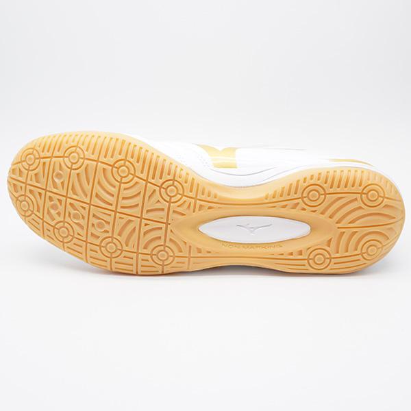 MIZUNO（ミズノ） モナルシーダ NEO SALA PRO IN mizuno Q1GA232152