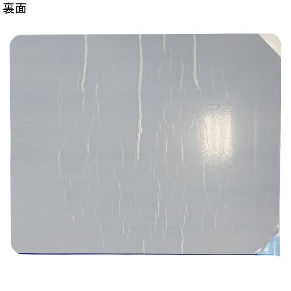 molten（モルテン） シューダスターシート TT0020 フットサル