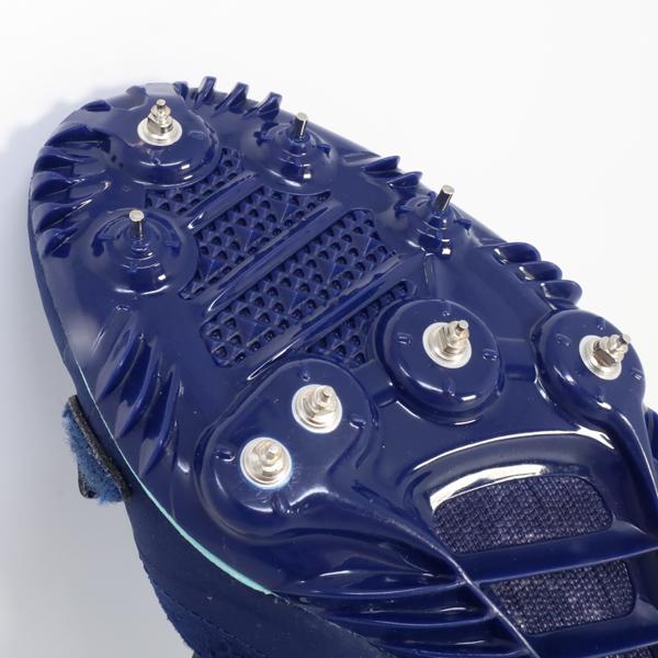 サイカスカイルンシアナ スーパーブルー短葉　M16 サイカスカイルンシアナ スーパーブルー短葉 M16