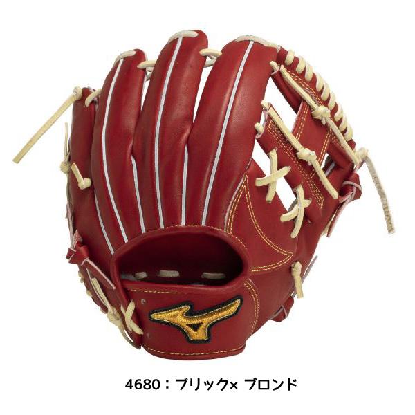 MIZUNO（ミズノ） 野球 軟式用グラブ ミズノプロClassic 1AJGR30003 内