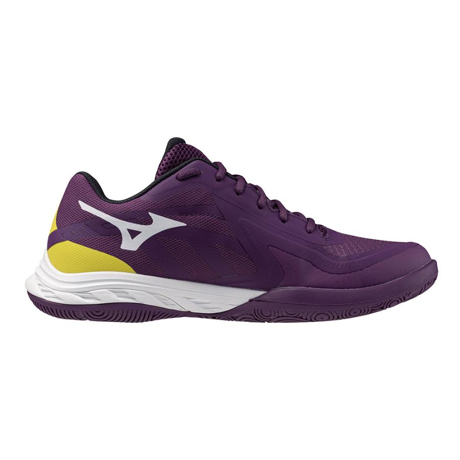 MIZUNO（ミズノ） バドミントンシューズ メンズ レディース ウエーブ