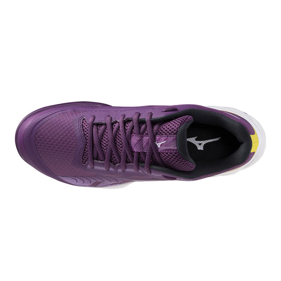 MIZUNO（ミズノ） バドミントンシューズ メンズ レディース ウエーブ