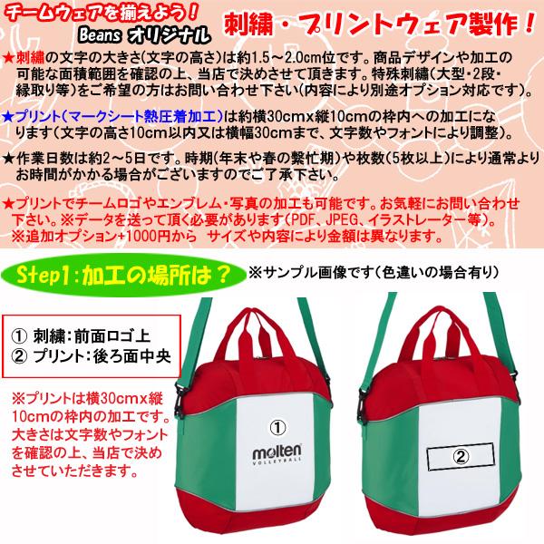 molten（モルテン） 名入れOK！ バレーボール ボールバッグ ボール