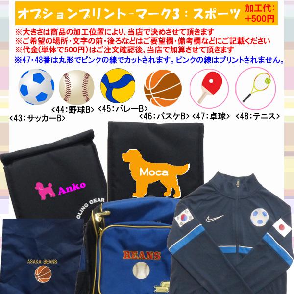 molten（モルテン） 名入れOK！ バレーボール ボールバッグ ボール