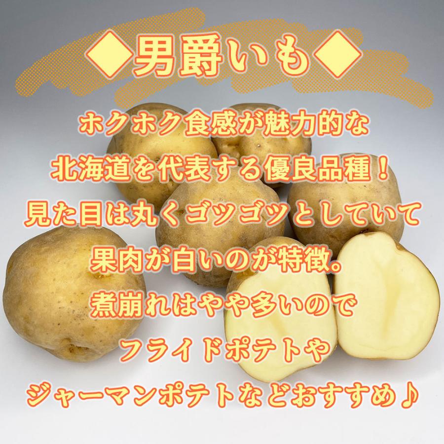 北海道産じゃがいも 定番人気3品種 お試し1kgセット 男爵・北あかり