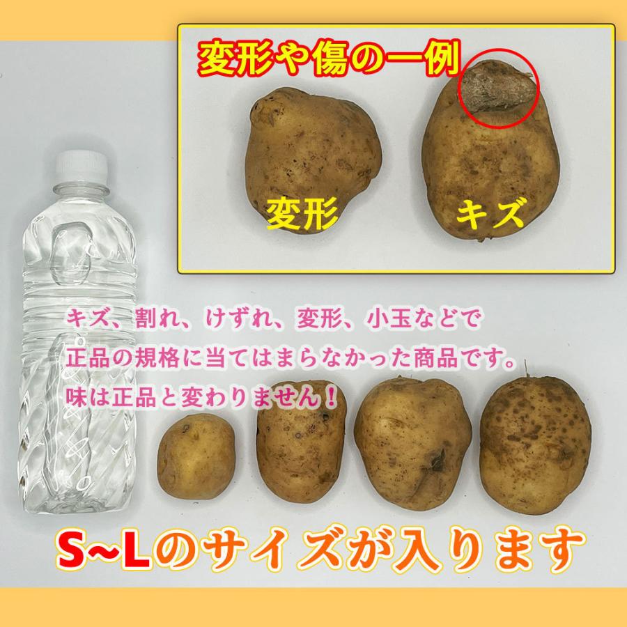どの品種が届くかお楽しみ♪ 北海道産 じゃがいも 訳あり 食品ロス S