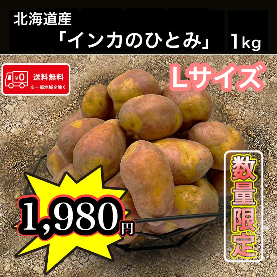≪なくなり次第終了!!超希少品種≫ インカのひとみ Lサイズ 1kg お試し