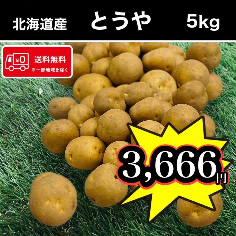送料無料 北海道産 とうや 5kg Mサイズ じゃがいも 馬鈴薯 新じゃが